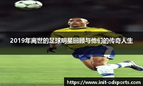 OD体育官网