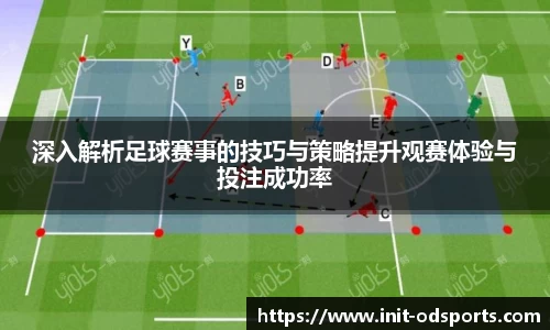 深入解析足球赛事的技巧与策略提升观赛体验与投注成功率
